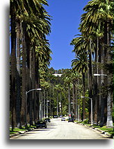 Beverly Hills::Hollywood, Kalifornia, Stany Zjednoczone::