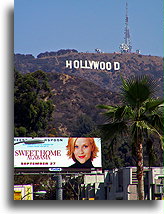 Hollywood Sign #2::Hollywood, California, United States::