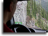 Driving the Vertical Cliff #2::Black Bear Pass, Colorado, USA::