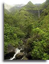 Makaleha Stream::Kauai, Hawaii Islands::
