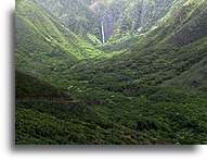 Dolina Halawa::Wyspa Molokai, Hawaje::