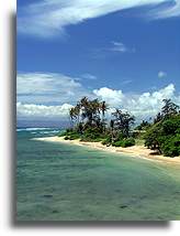 Plaża Waialua::Molokai, Hawaje::