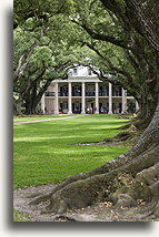French Colonial House::Oak Alley Plantation, Louisiana, United States::