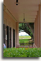 Widok alei dębów::Plantacja Oak Alley, Luizjana, Stany Zjednoczone::