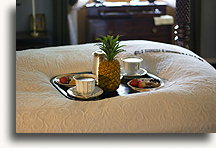 Pineapple, a Symbol of Hospitality::Oak Alley Plantation, Louisiana, United States::