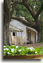 Slave House::Oak Alley Plantation, Louisiana, United States::