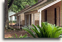 Domki niewolników::Plantacja Oak Alley, Luizjana, Stany Zjednoczone::