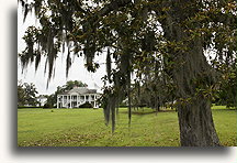 Evergreen Main House::Evergreen Plantation, Louisiana, United States::