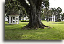 Evergreen Park::Evergreen Plantation, Louisiana, United States::