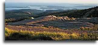 View from Cadillac Mountain::Maine, United States::