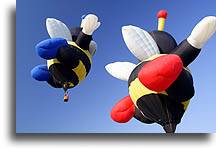 Bee Balloons::New Jersey, United States::