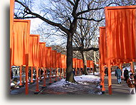 The Gates #1::Central Park, New York City, USA::