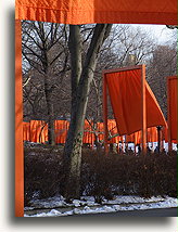 The Gates #4::Central Park, New York City, USA::