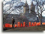 The Gates #3::Central Park, New York City, USA::