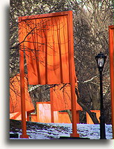 The Gates #7::Central Park, New York City, USA::