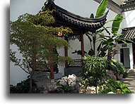 Chinese garden #1::New York City, USA::
