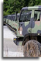 Military Trucks::West Point, New York, USA::