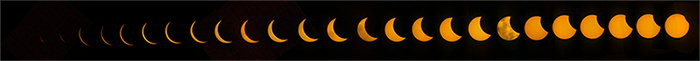 Sekwencja zaćmienia Słońca::Francis Marion National Forest, Karolina Południowa, USA::