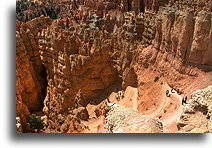 Wall Street Trail::Bryce Canyon, Utah, USA::