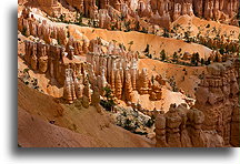 Countless Hoodoos::Bryce Canyon, Utah, USA::