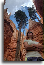 Wysokie drzewa #1::Kanion Bryce, Utah, USA::