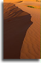 Dune Edge #2::Coral Pink Sand Dunes, Utah, USA::