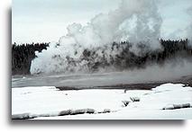 Wybuch gejzera::Park Yellowstone, Stany Zjednoczone::