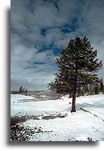 Wzgórze gejzerów #3::Park Yellowstone, Stany Zjednoczone::