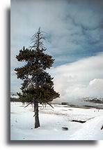 Geyser Hill #4::Geysers in Yellowstone, United States::