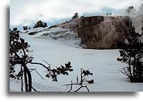 Cleopatra Terrace::Mammoth Hot Springs, Yellowstone, Wyoming, United States::