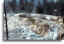 Angel Terrace #2::Mammoth Hot Springs, Yellowstone, Wyoming, United States::