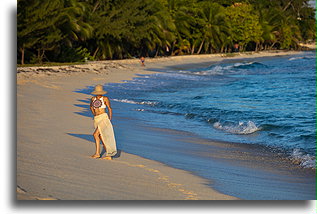 Plaża Drill Hall::Barbados, Karaiby::