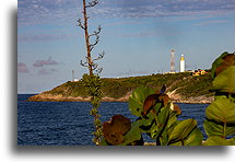 Ragged Point::Barbados, Karaiby::