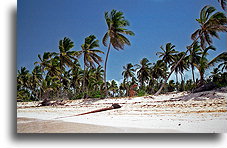 Silk Sand in Bavaro::Dominican Republic, Caribbean::