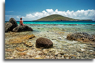 Sitting on the Reef::Culebra Island, Puerto Rico, Caribbean::