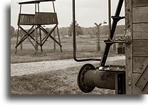 Freight car::Auschwitz Concentration Camp::