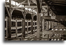 Beds inside wooden barrack::Auschwitz Concentration Camp::