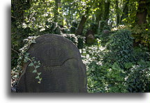 Matzeva::New Jewish Cemetery, Kraków, Poland::