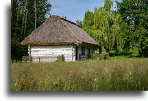 Whitewashed House::Tokarnia Open-air Museum, Swietokrzyskie, Poland::