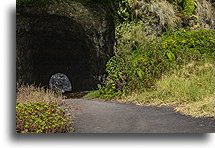 Abandoned Tunnel::Madeira, Portugal::