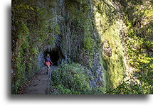 Entrance to Levada tunnel::Levada Fajã do Rodrigues, Madeira, Portugal::