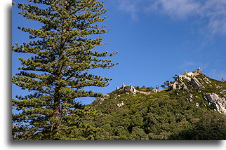 Medieval Fortress::Castle of the Moors, Sintra, Portugal::