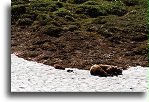 Sleeping Bears::Alaska, Stany Zjednoczone::